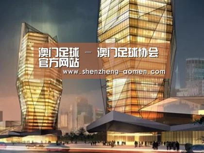 案例展示三